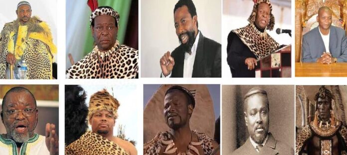 Top 10 Powerful Kings in South Africa